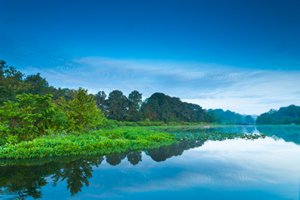 Tuckahoe State Park in Centreville Maryland