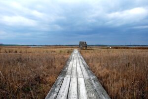 Chesapeake Bay Environmental Center in Grasonville Maryland